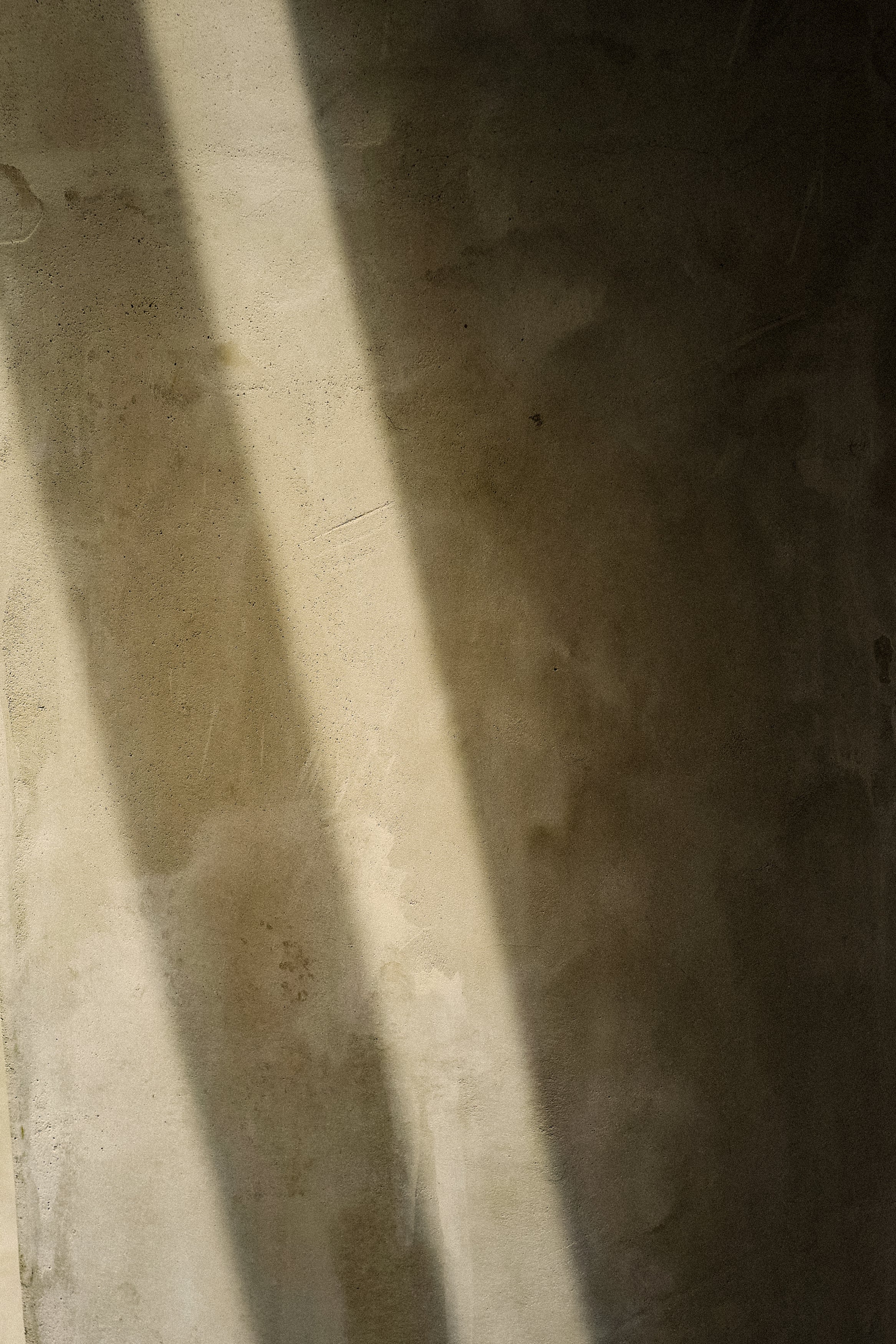 No. 6 Kismet - Image 3